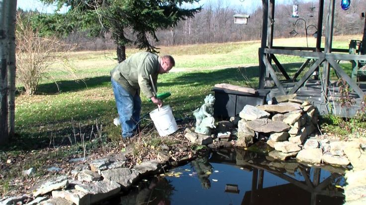 How to winterize a KOI pond | Koi pond, Water garden, Koi How to winterize a KOI pond | Koi pond, Water garden, Koi