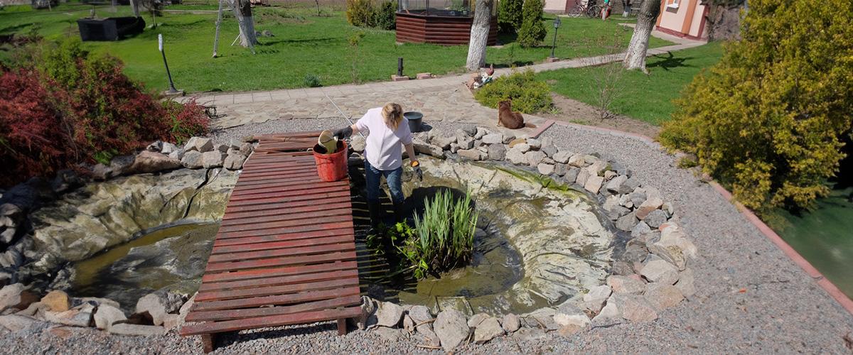 Koi Pond Maintenance - 10 Important Steps Guide Koi Pond Maintenance - 10 Important Steps Guide