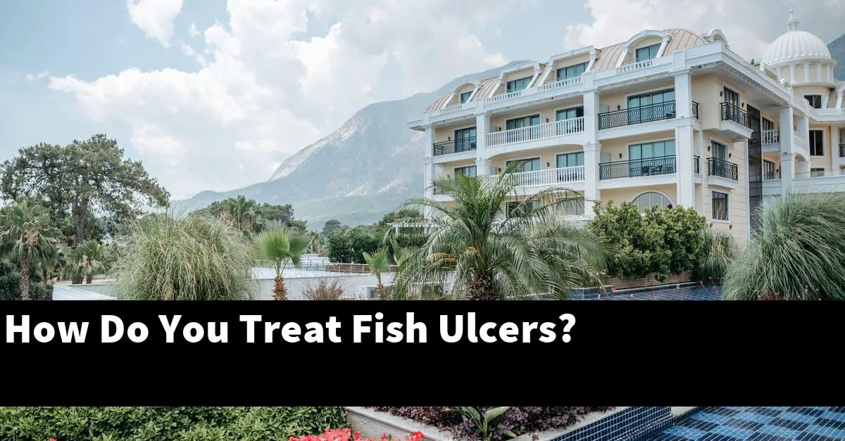 How Do You Treat Fish Ulcers? [2025 Guide] - Gold Koi Fish