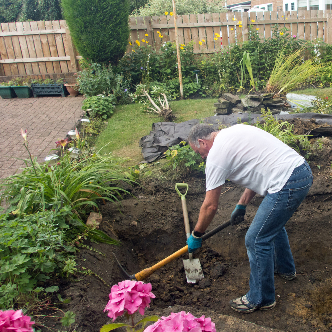 How Deep Should Your Koi Pond Be? | Next Day Koi