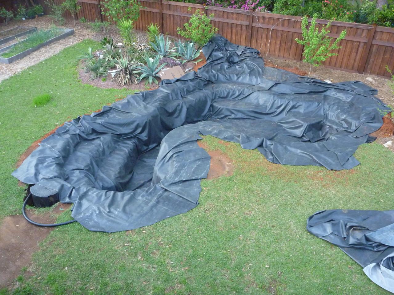 Koi Pond Maintenance,Water Systems Before and After - Gold N Koi