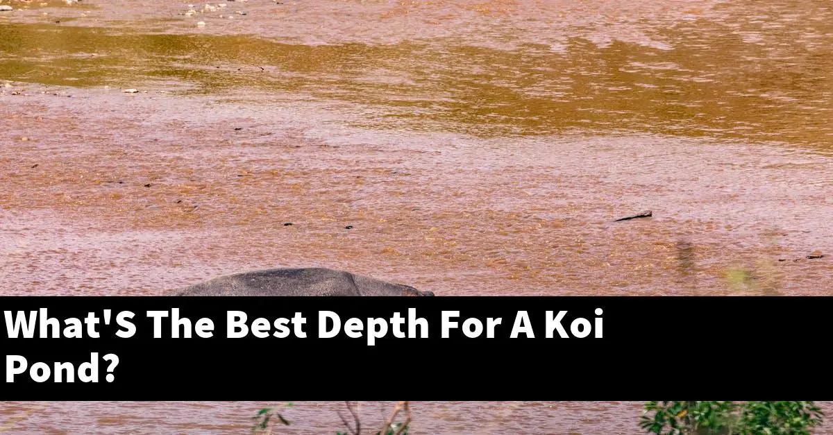 What'S The Best Depth For A Koi Pond? [2025 Guide] - Gold Koi Fish