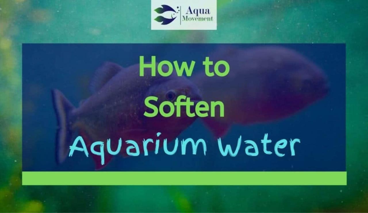 5 Ways To Aerate And Oxygenate A Pond | Aqua Movement