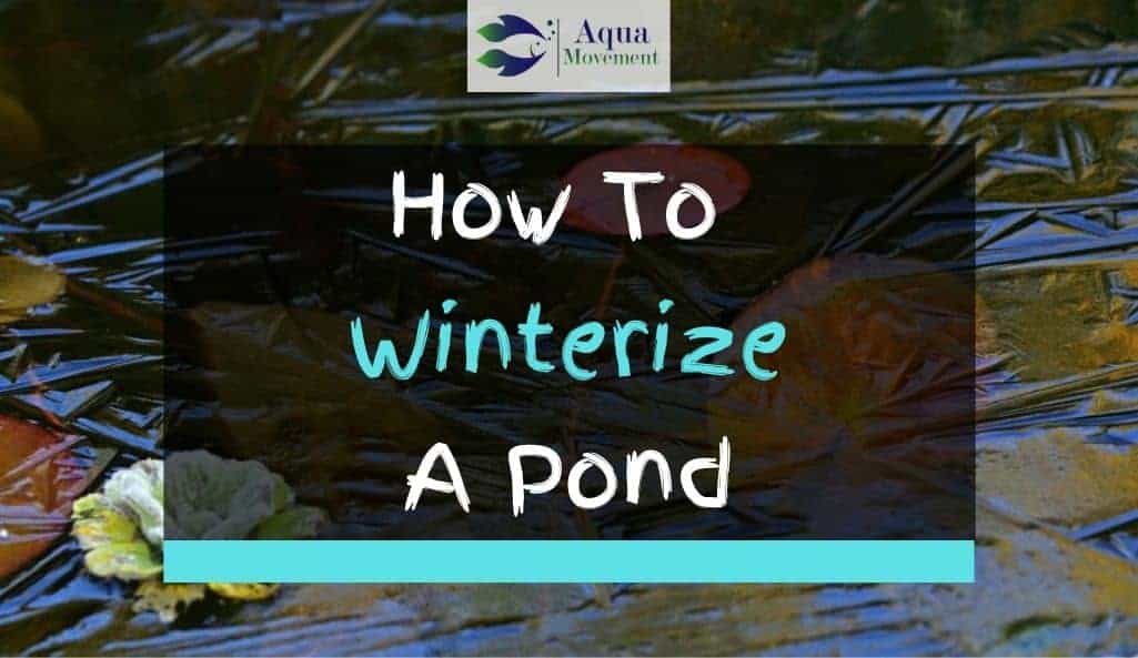 6 Steps On How To Winterize A Pond | Aqua Movement 6 Steps On How To Winterize A Pond | Aqua Movement