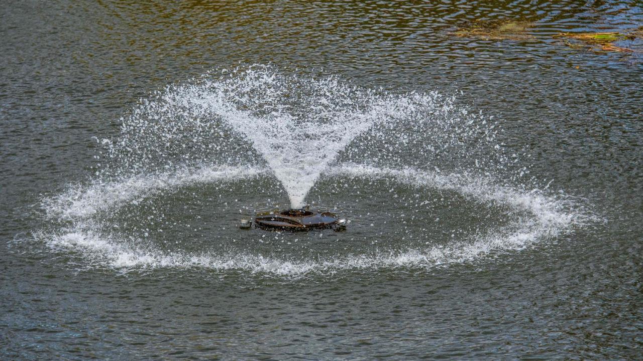 How to Aerate a Pond - A Complete Guide