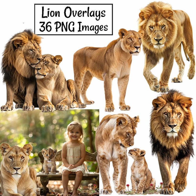 纯净的自然：脆弱而恒久的美 – 人像摄影