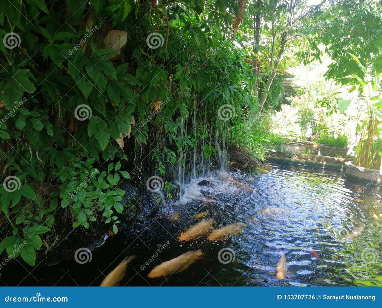 DIY Koi Pond Your Backyard Oasis - Blitsy