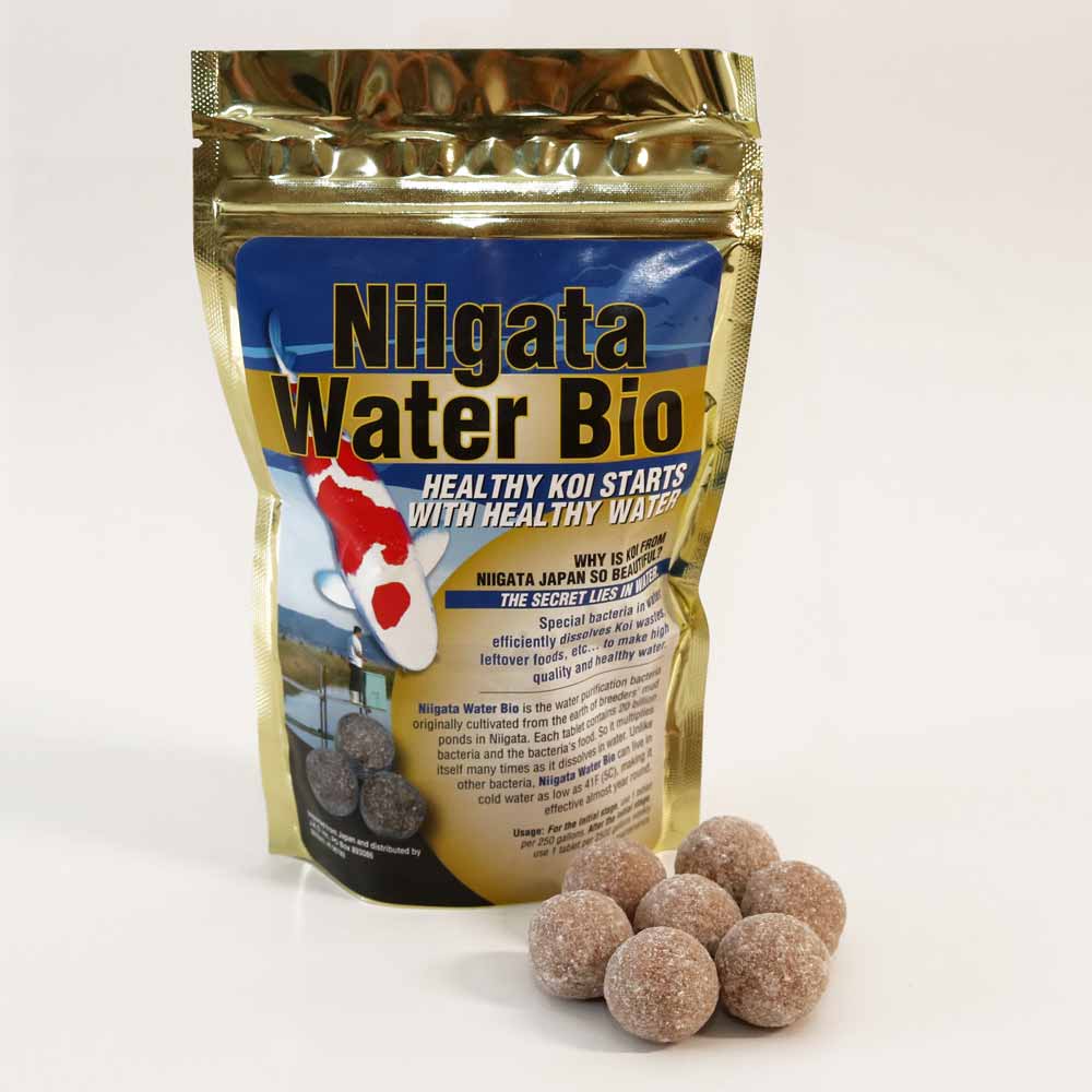 Tips for Improving the Nitrogen Cycle in your Koi Pond Tips for Improving the Nitrogen Cycle in your Koi Pond