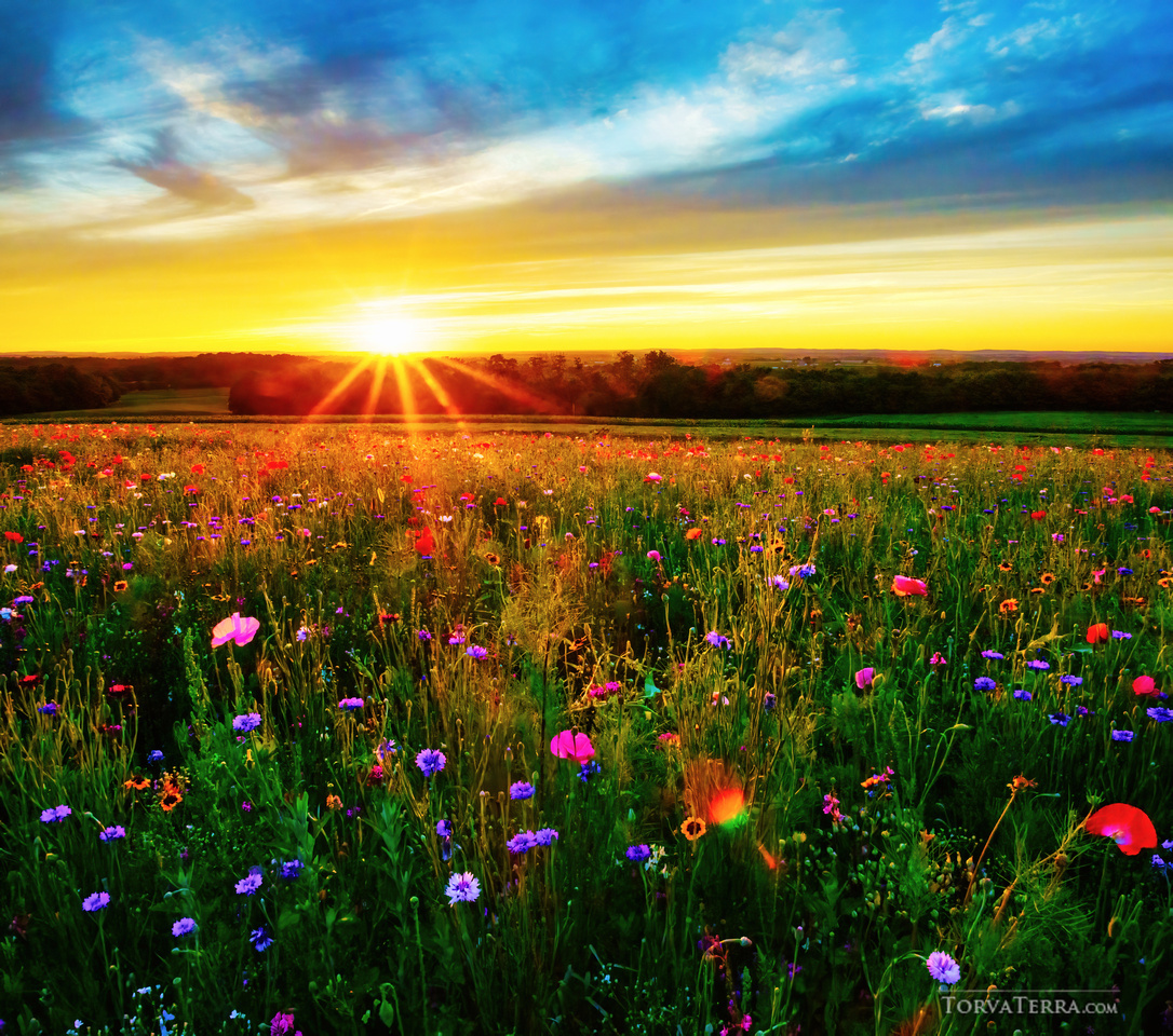 The Journey to Finding Your Style as a Photographer | Fstoppers