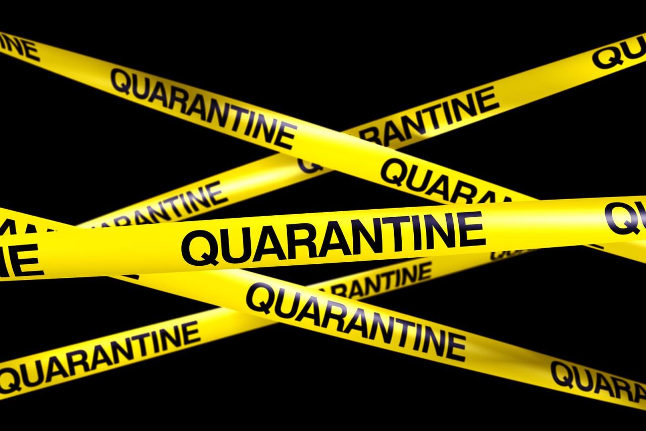 Quarantine Wallpapers - Wallpaper Cave